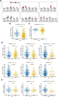 Linc00996 is a favorable prognostic factor in LUAD: Results from bioinformatics analysis and experimental validation